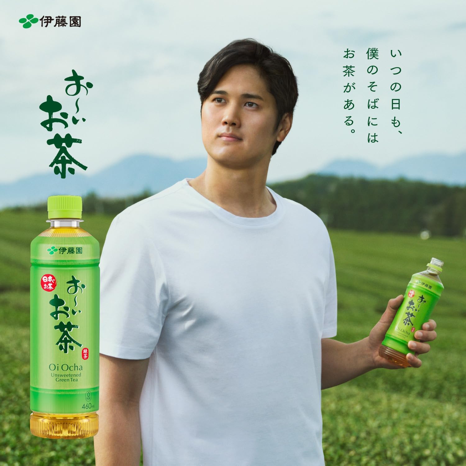 抹茶です 東そのぎ 抹茶シャーベット🌱 まちゃらってぃ〜1袋 牛乳 250ml